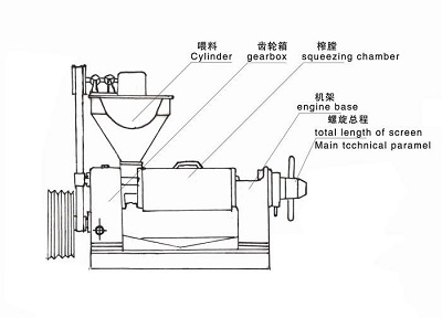 雙象榨油機結(jié)構(gòu)